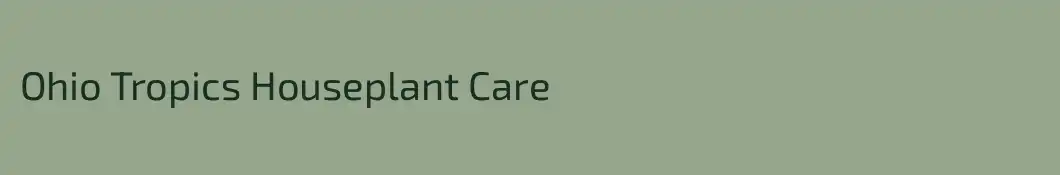 Ohio Tropics Houseplant Care
